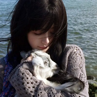 诗人叶慈 在线观看