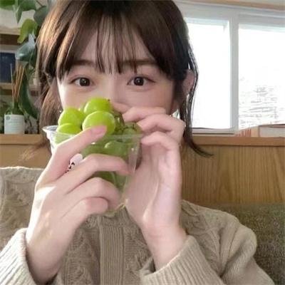 吃素的小爸第二季