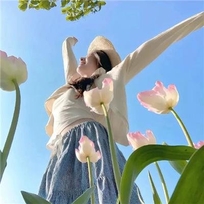 新手人生 在线观看